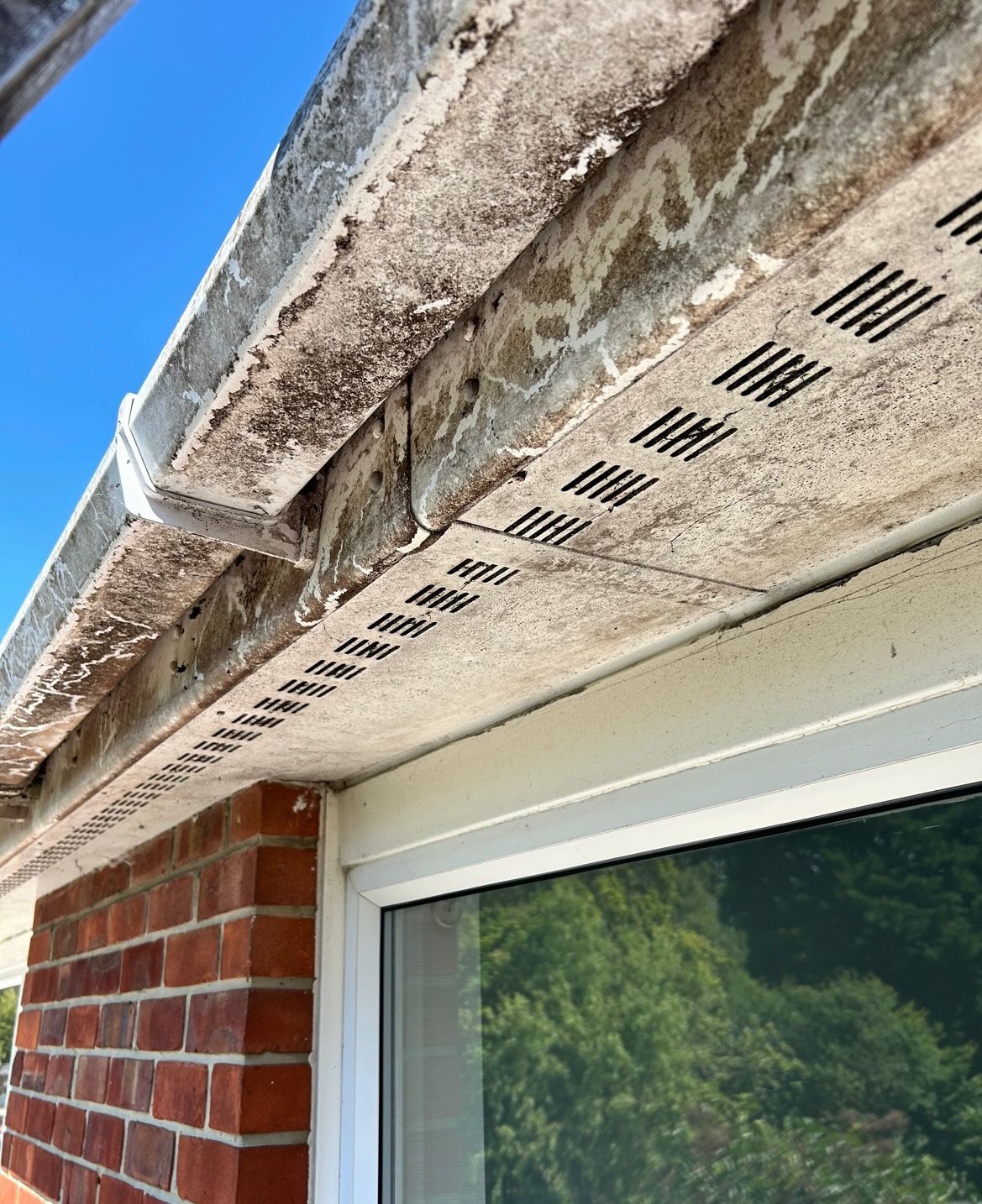 Gutter Cleaning in Bordon - Deans Gutters