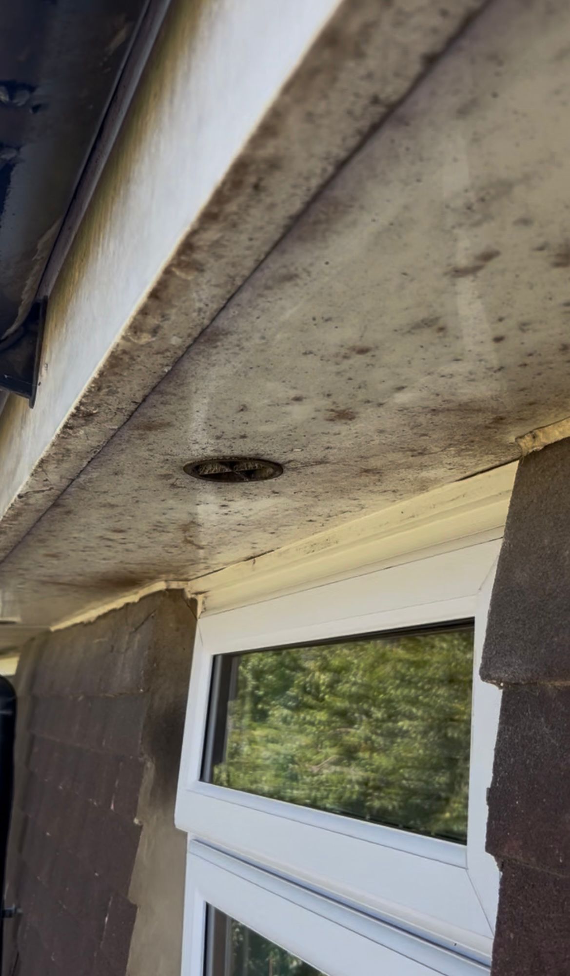 Before gutter cleaning by Deans Gutters